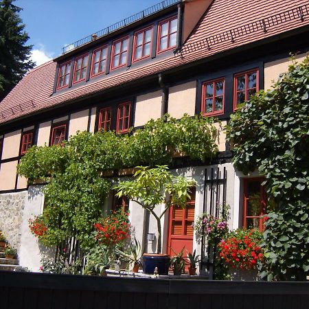 Winzerhaus Rissweg 15 Villa Dresden Eksteriør billede